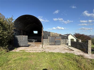 Picture 25